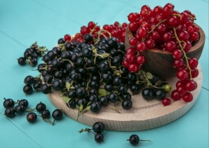 Смородина обожает эту подкормку: 1 стакан после таяния снега — и куст ломится от сладких ягод размером с черешню