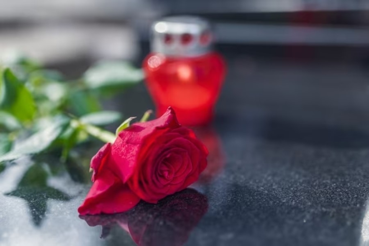 Турчин выразил соболезнования губернатору Московской области в связи с терактом