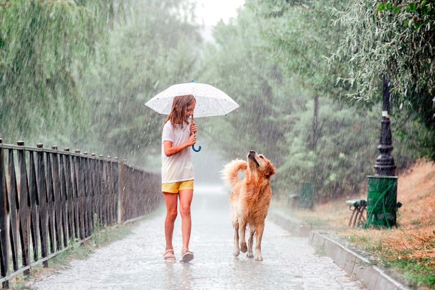 Где-то ливень, где-то только гром: Рябов рассказал, каким будет начало лета
