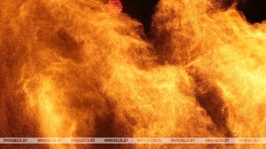 В Беларуси при пожарах в марте погибли 50 человек