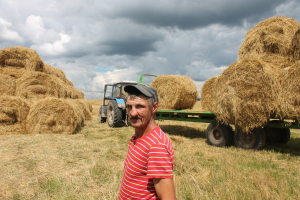 Уборка і пасяўная - паралельна