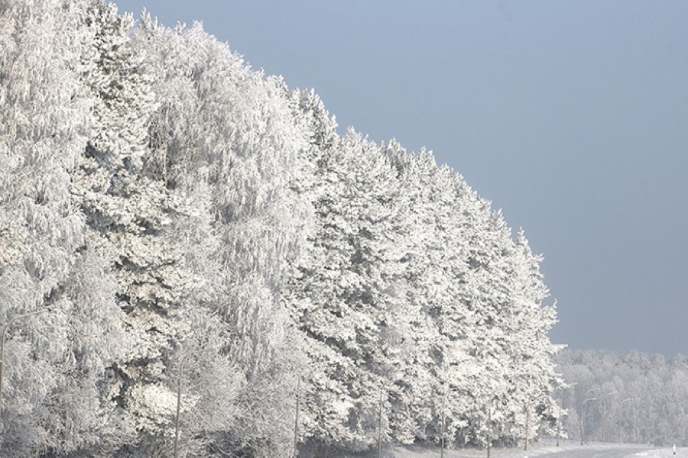 Гололедица и до -11°С: чего ждать от погоды в Беларуси 8 февраля