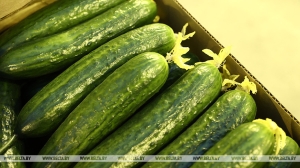 Лукашенко потребовал принять меры для снижения цен на овощи в межсезонье