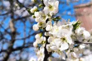 Когда следующие большие выходные у белорусов?