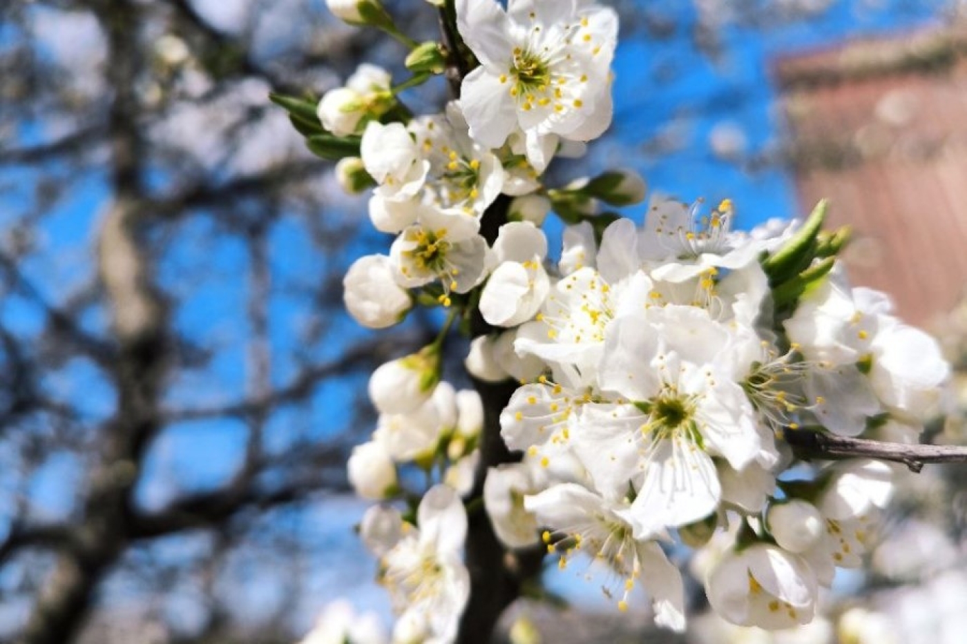 Когда следующие большие выходные у белорусов?