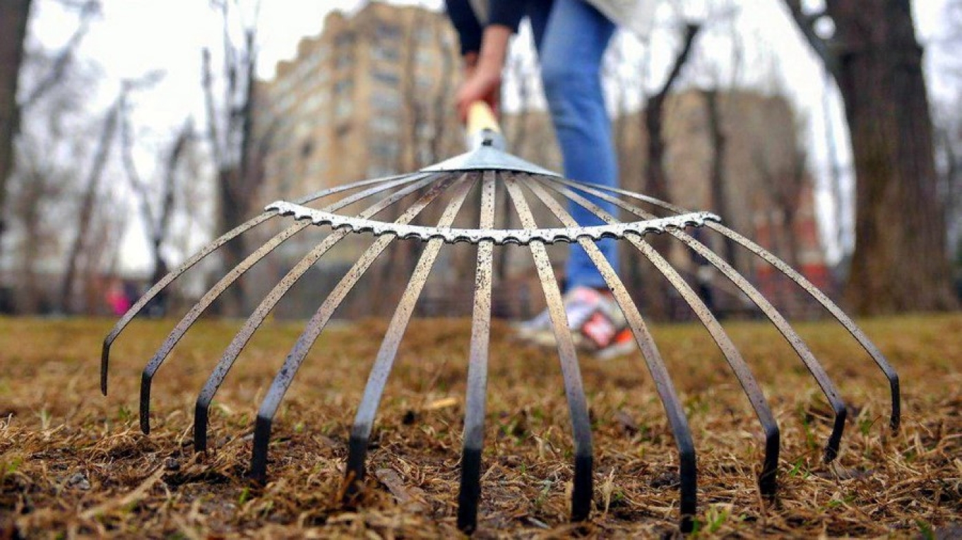 Наведем порядок вместе! Приглашаем всех на субботник