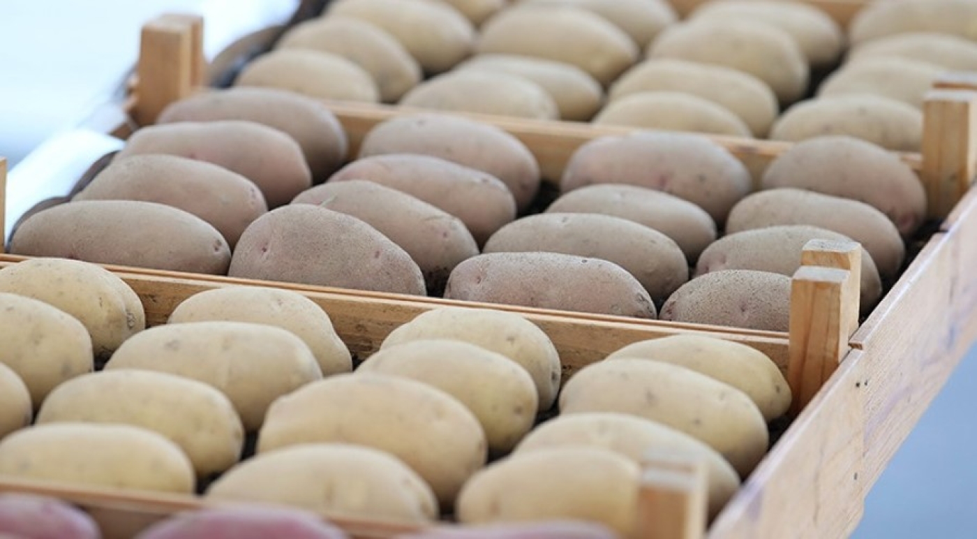 МАРТ: запасы в стабфондах Беларуси превышают план