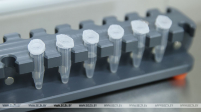 За сутки в Беларуси зарегистрированы 155 пациентов с COVID-19, выписаны 40