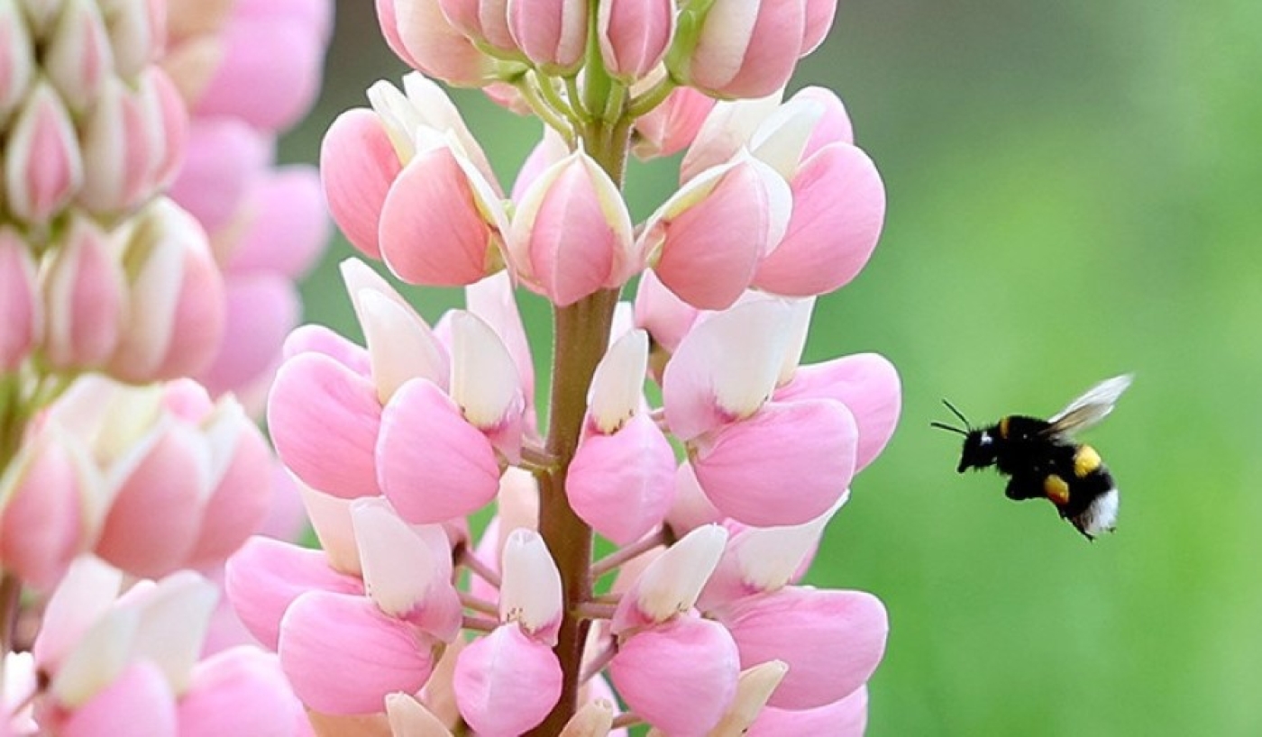 Ветреная и дождливая погода ожидается сегодня в Беларуси