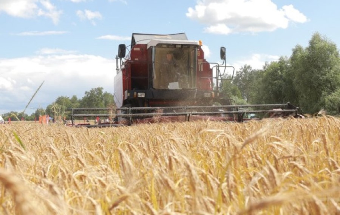 Аграрии Беларуси приближаются к намолоту 9 млн тонн зерна