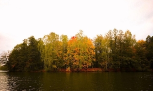 Порывистый ветер и дожди. Чего ждать от погоды в Беларуси 12 октября