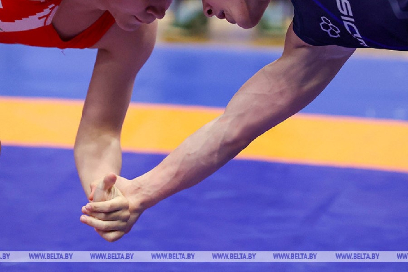 Главный старт внутреннего сезона. Витебск примет чемпионат Беларуси по борьбе