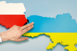 Беженцы из Украины не хотят собирать клубнику в Польше