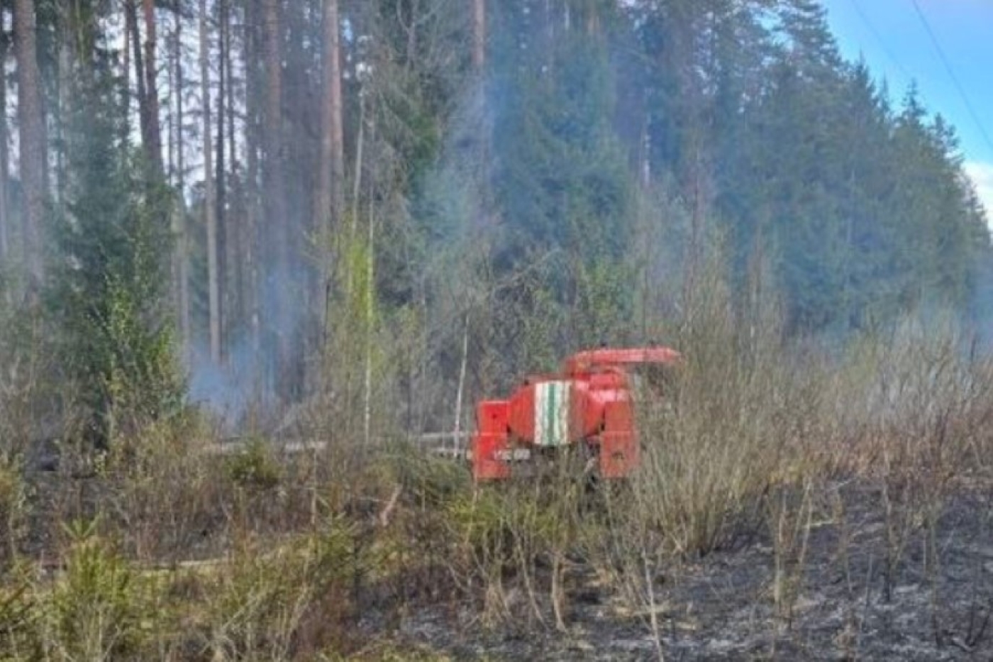 Обрыв линий электропередачи из-за сильного ветра вызвал возгорания в лесфонде