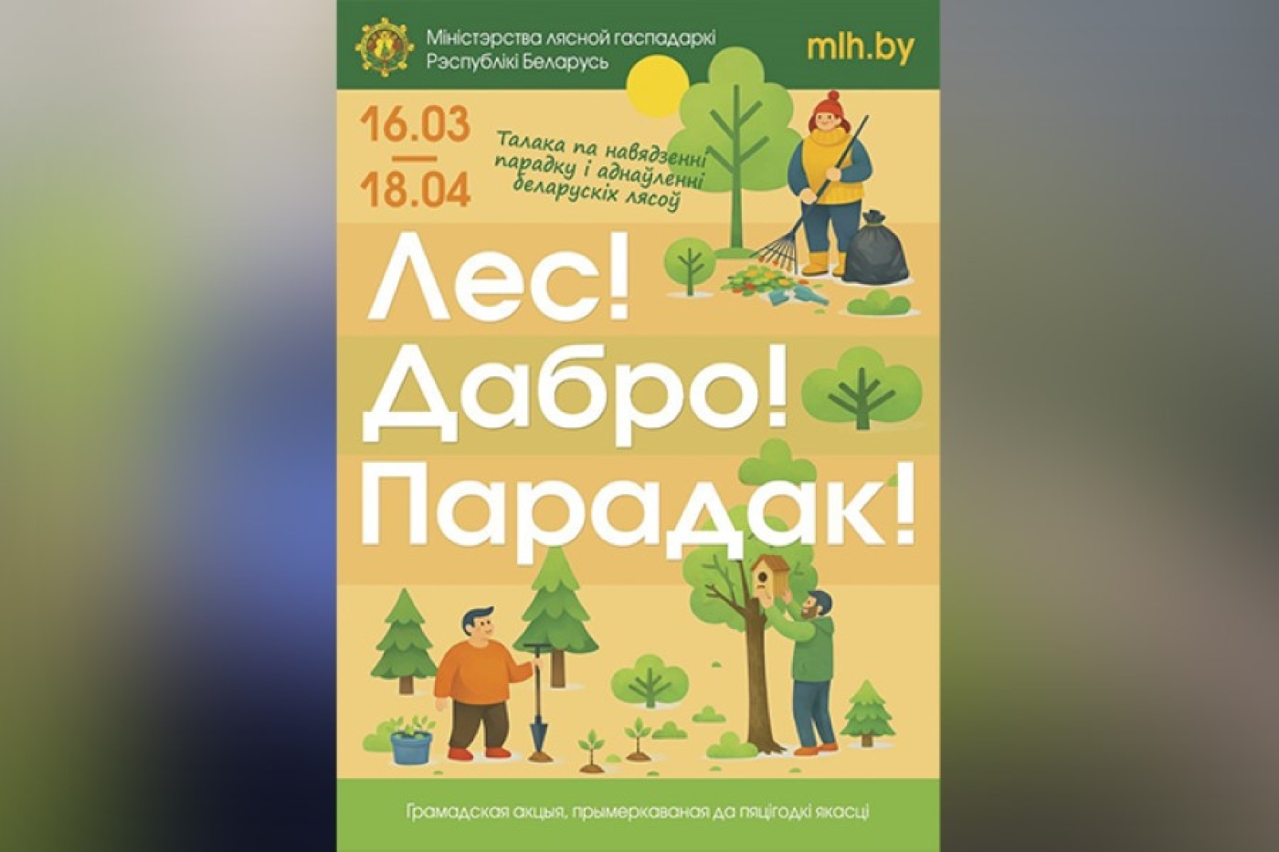 'Лес! Дабро! Парадак!'. Минлесхоз приглашает белорусов провести весну с пользой для леса