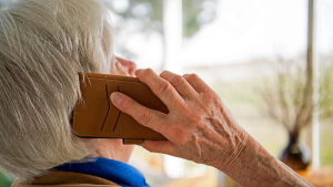 В Минске пенсионерка поверила мошенникам и лишилась 4 тысяч долларов