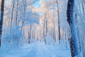 Народный календарь на 6 февраля 2025: что можно и нельзя делать, приметы и праздники