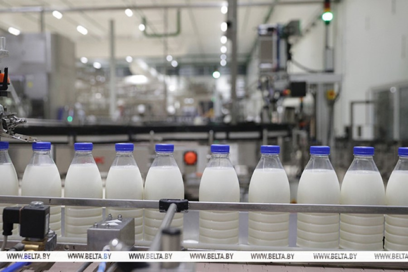 В Минской области за 11 месяцев произведено более 2 млн тонн молока и миллиард яиц