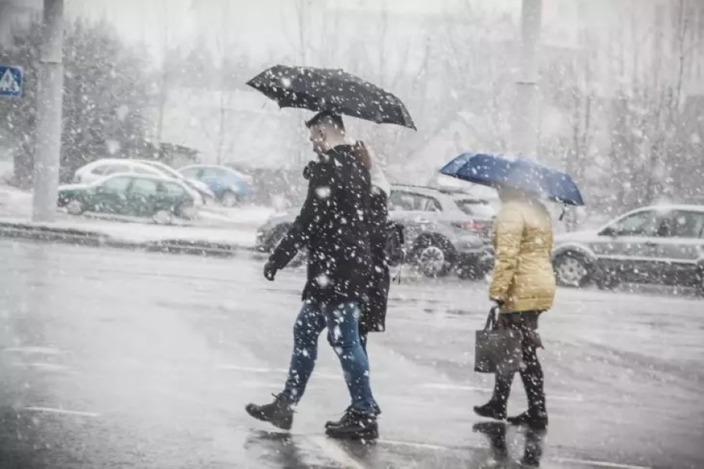 Погода в Беларуси 24 ноября: снег, гололедица и до +1 °С