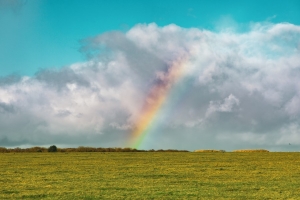 Погода в Беларуси 24 июля: дожди, грозы и от +8 °С до +25 °С