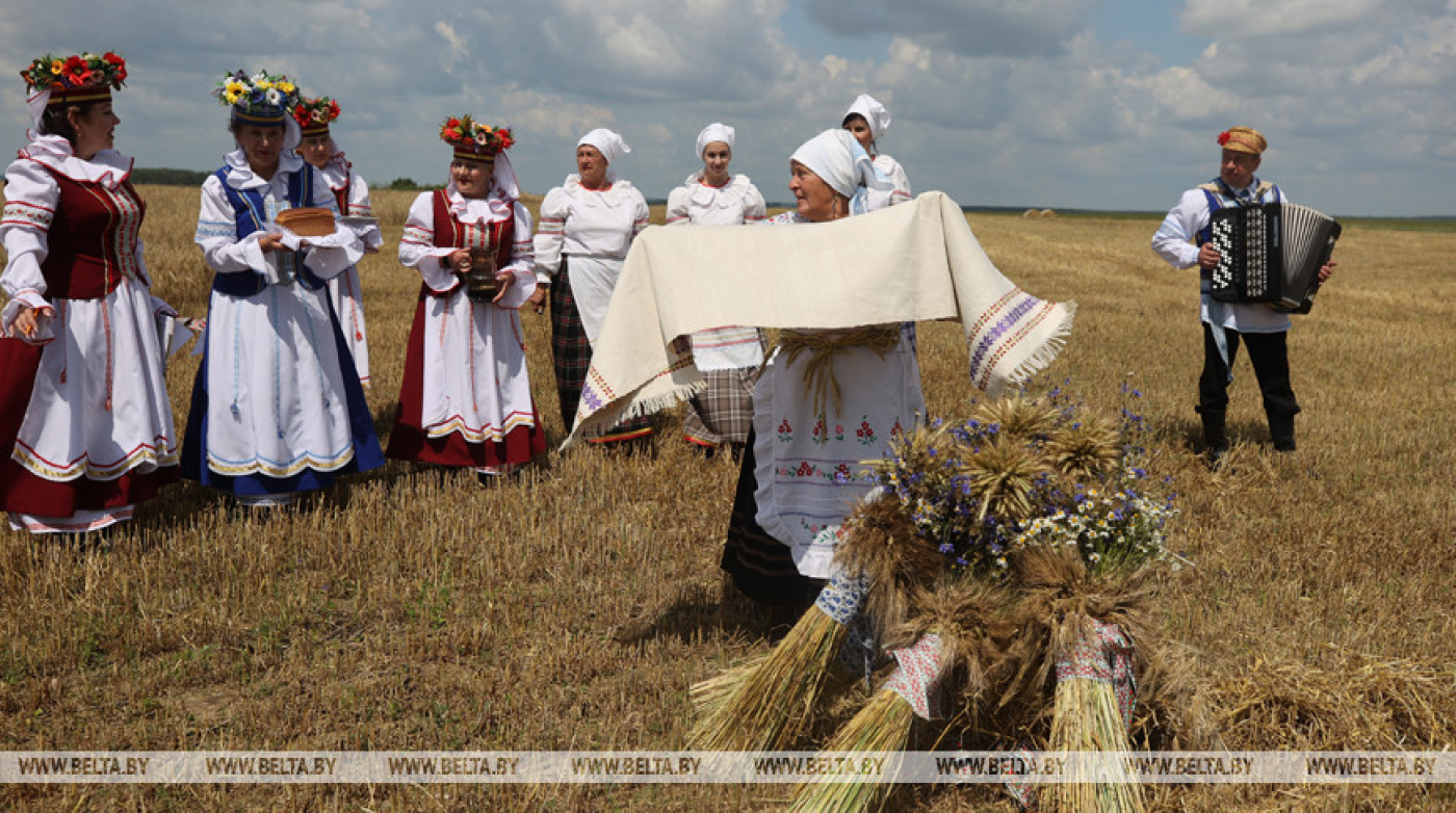 "Чтобы люди были с хлебом". Жатву в Слонимском районе начали с обряда "Зажинки"