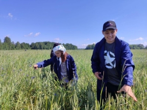 Около 18,5 тыс. учащихся и студентов трудоустроила служба занятости в июне