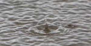 В Пуховичском районе в озере утонул мужчина