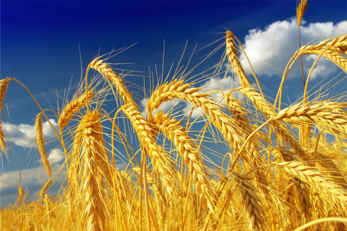 Карта раёна на 29 жніўня