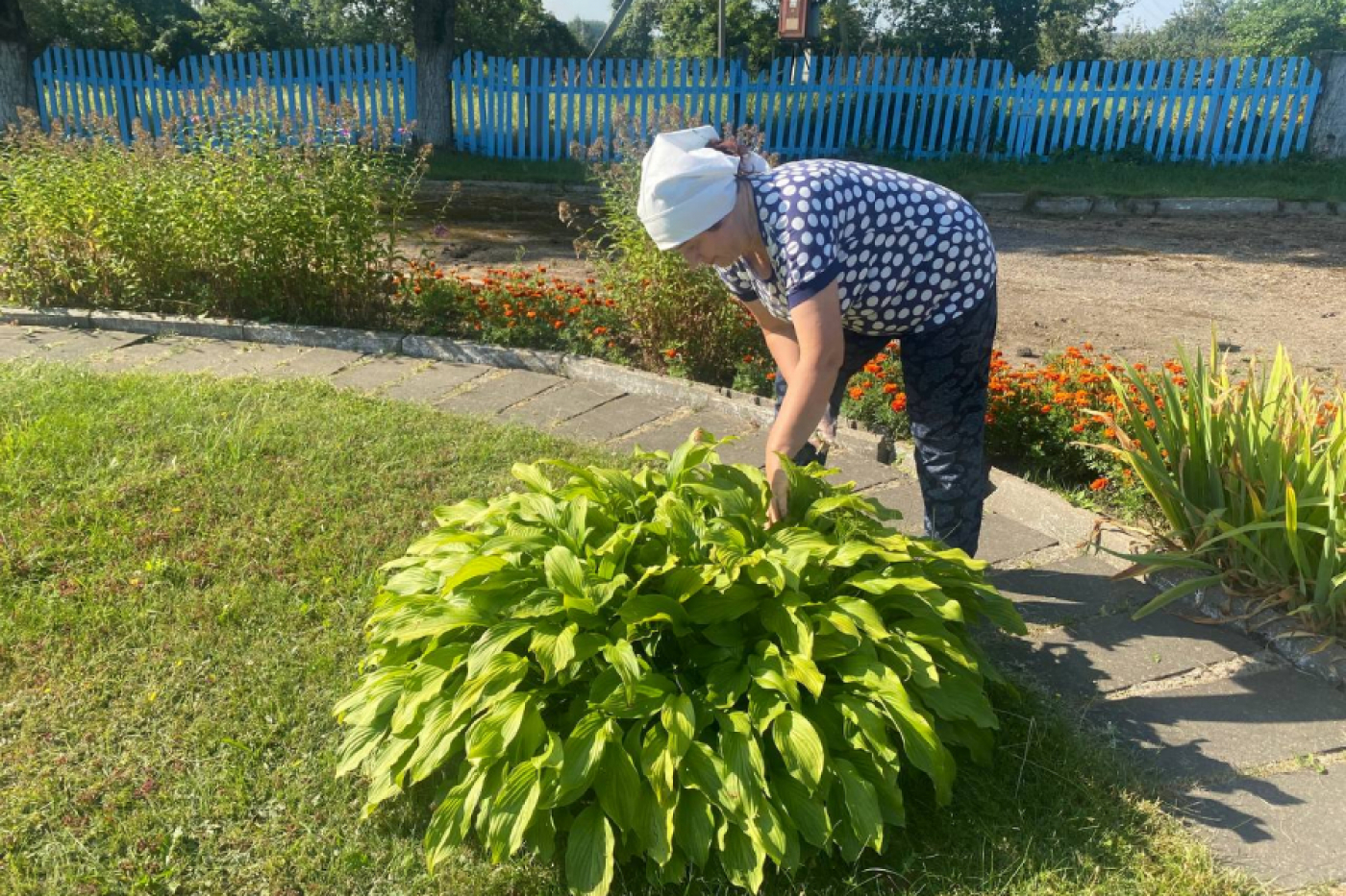 Субботник в ГУО «Капланецкий детский сад - средняя школа» 27.08.2022