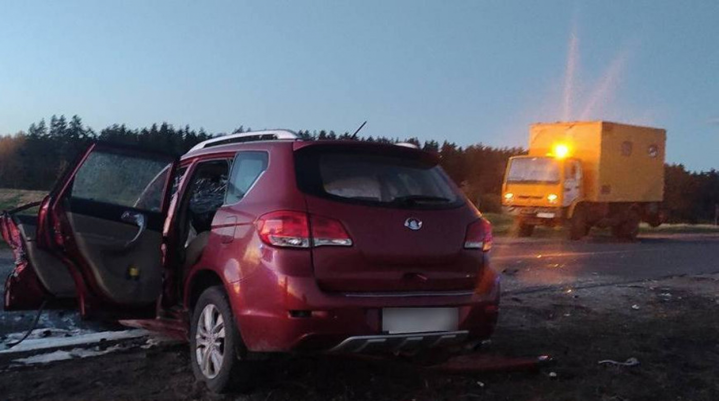 ДТП в Борисовском районе: погибли водитель и ребенок