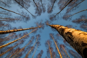 Погода 1 июля: кратковременные дожди, местами град и до +34 °С