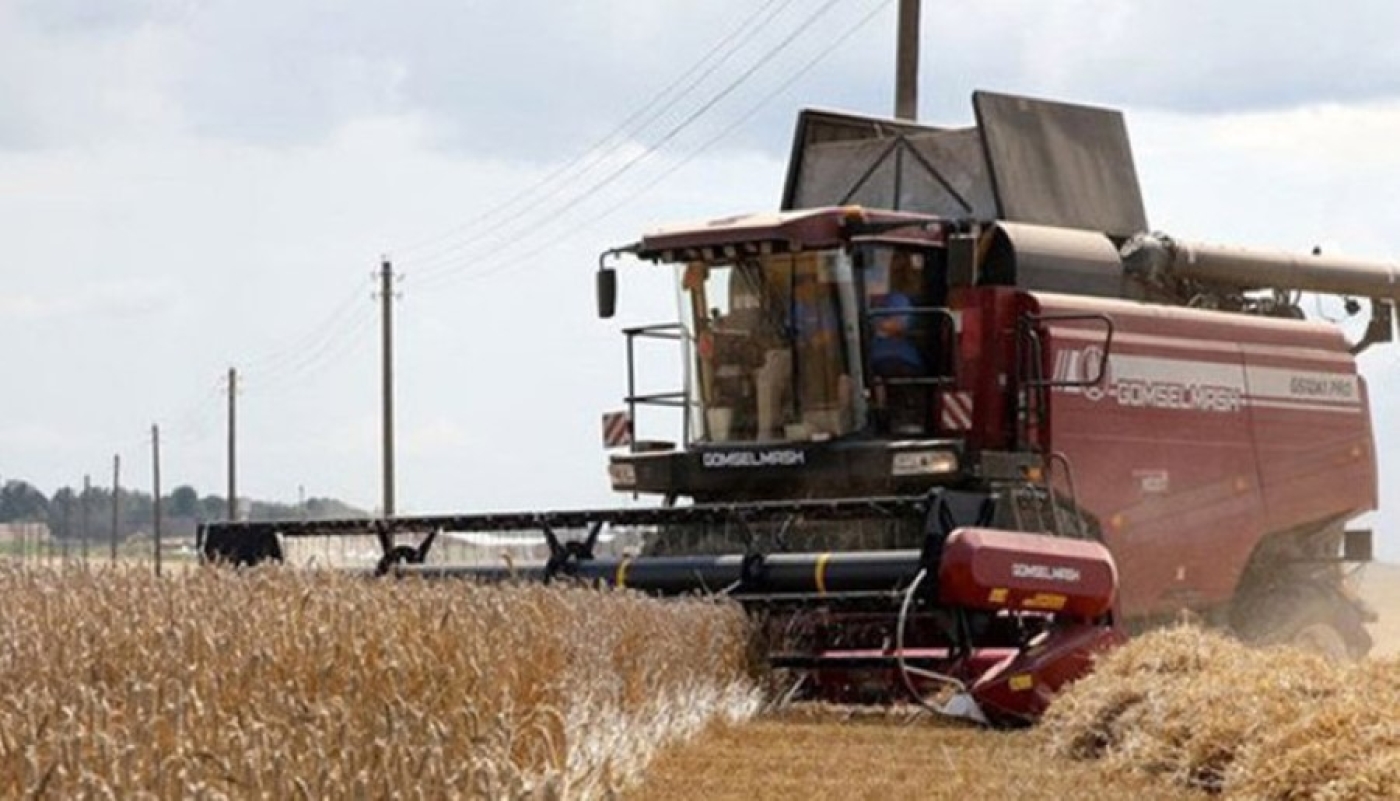 В Беларуси намолочено 10,4 млн тонн зерна с учетом рапса и кукурузы
