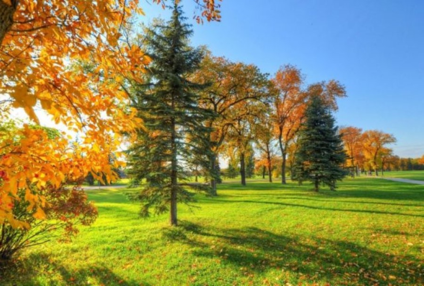 Осень не спешит вступать в свои права. Рябов рассказал о погоде на неделе с 8 по 14 сентября