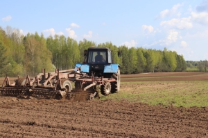 Галоўны напрамак работы – сяўба кукурузы