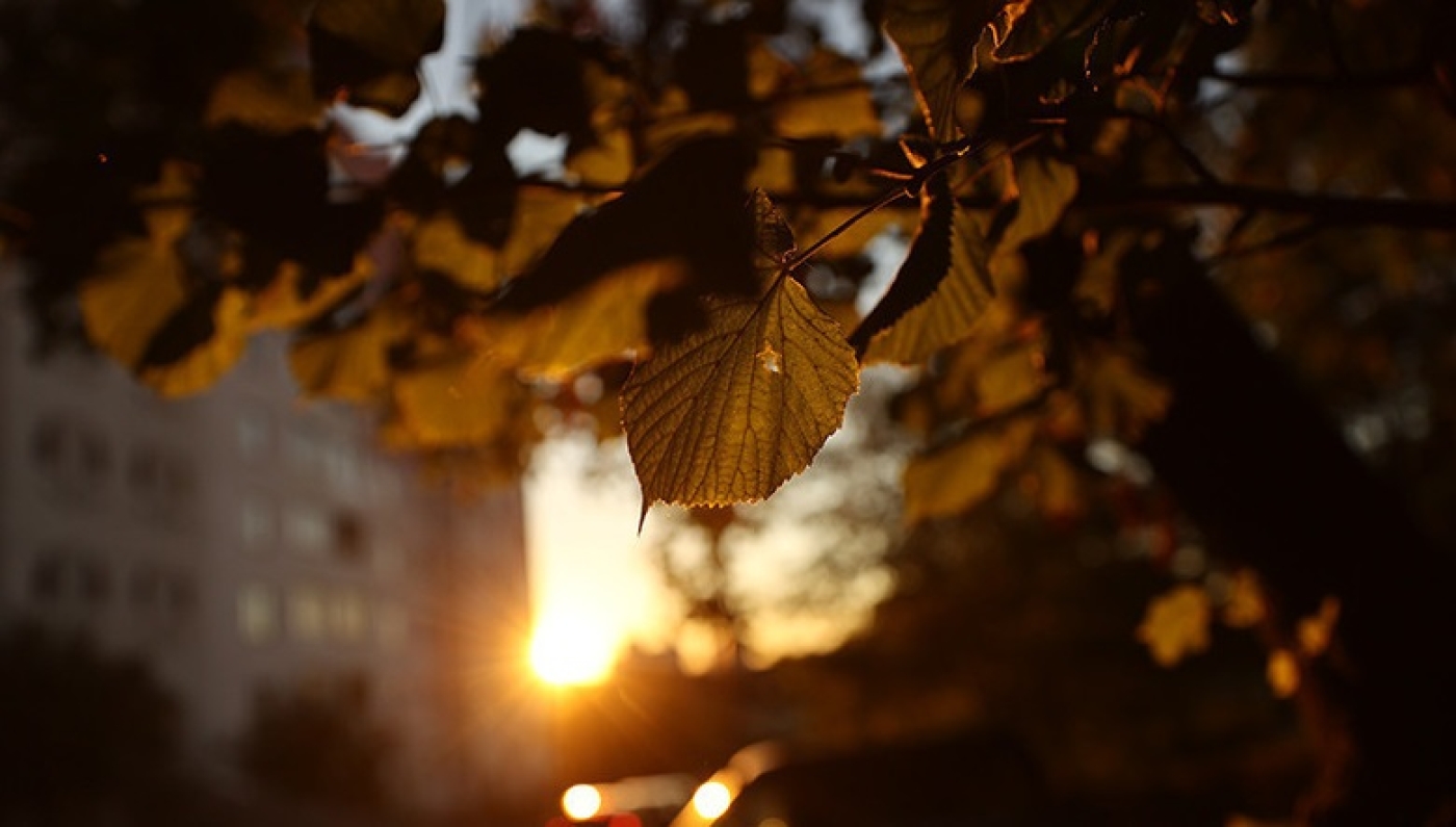 Тепло и дождливо будет в Беларуси 3 ноября