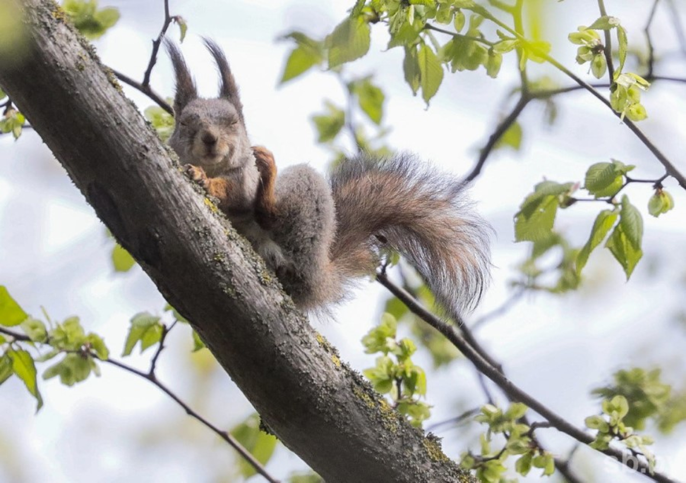 Жара, грозы и ливни ожидаются сегодня в Беларуси