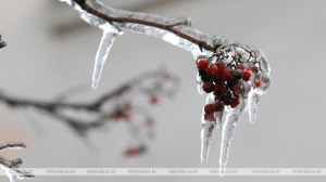 Оранжевый уровень опасности из-за гололедицы объявлен в Беларуси 27 декабря