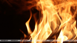 Жительница Барановичского района из мести подожгла дом