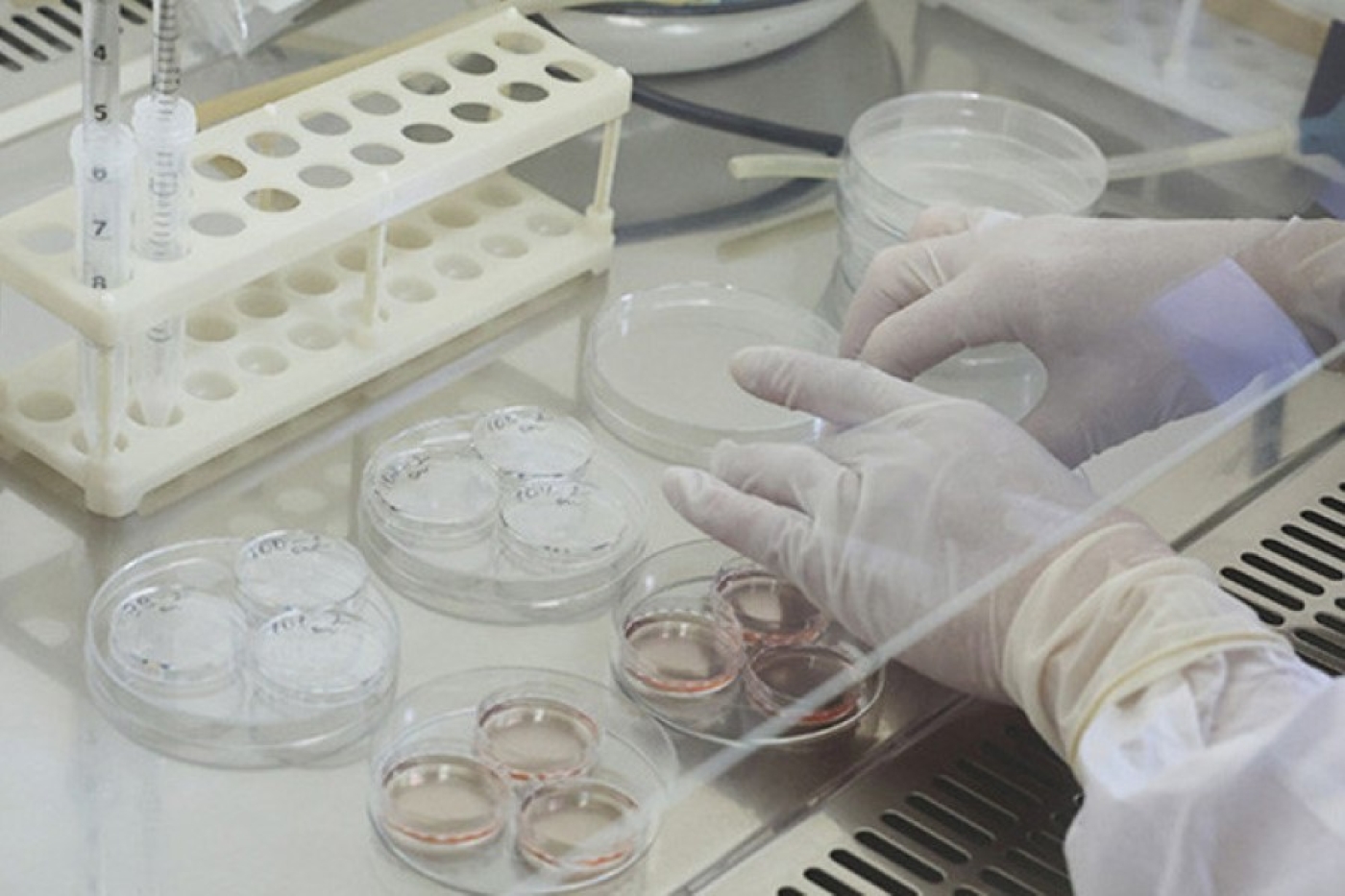 Сделать так, как хочет женщина. Лукашенко пообещал максимально упростить доступ к ЭКО