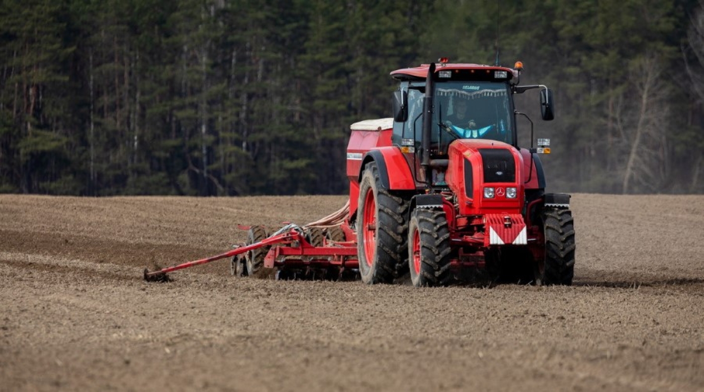 В Беларуси посеяно более 6 тысяч гектаров зерновых
