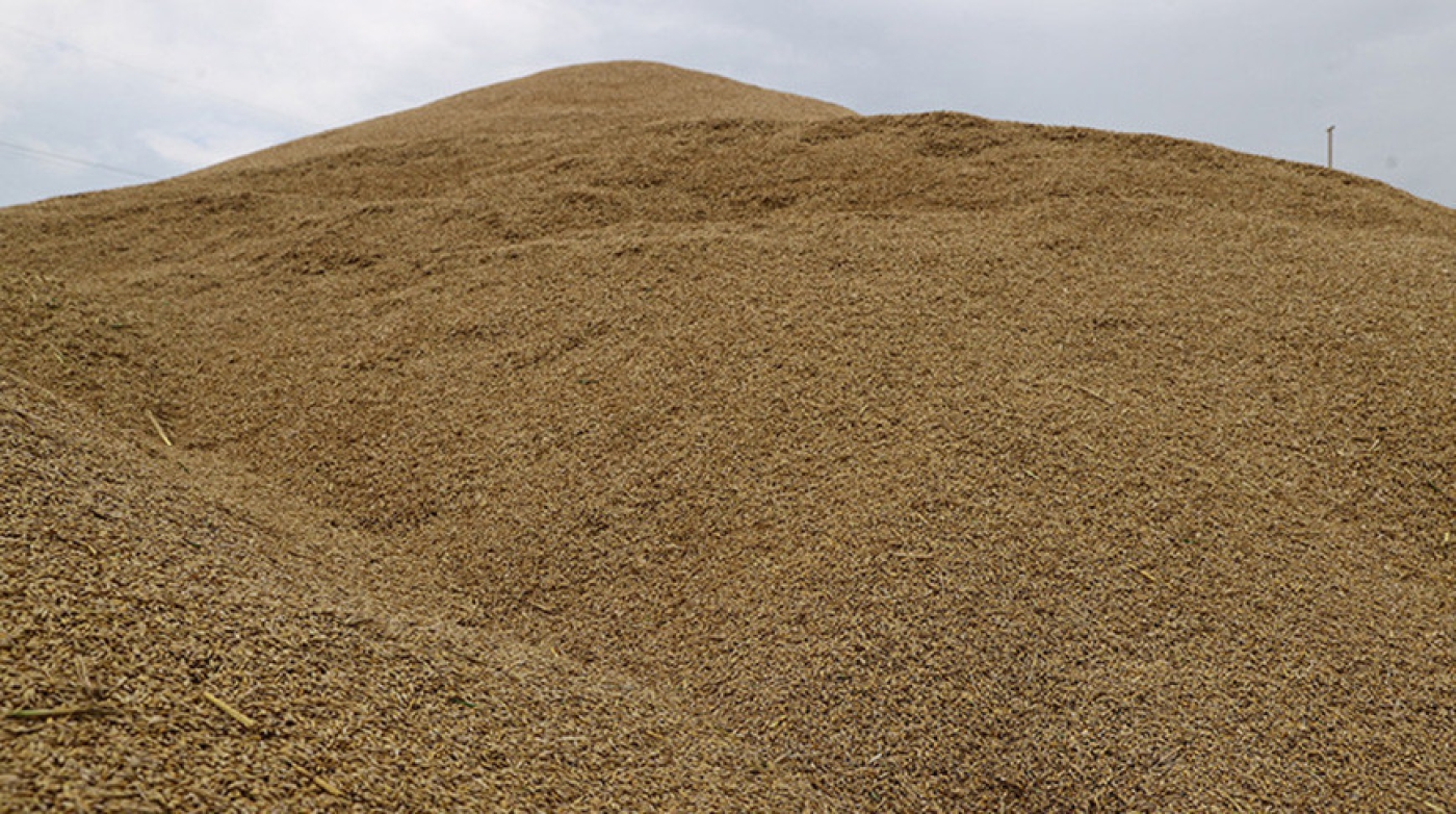 Определены объемы закупок сельхозпродукции и сырья для госнужд на 2024 год