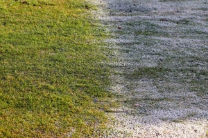 Погода в Беларуси в выходные: кратковременные осадки в виде дождя, слабый гололед и от –5 °С до +8 °С