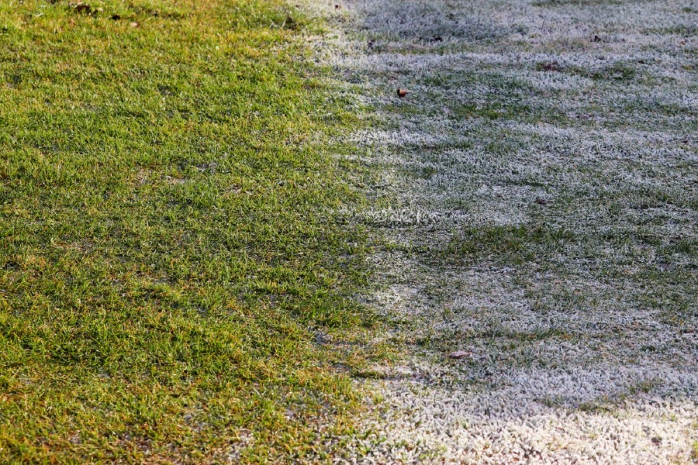 Погода в Беларуси в выходные: кратковременные осадки в виде дождя, слабый гололед и от –5 °С до +8 °С