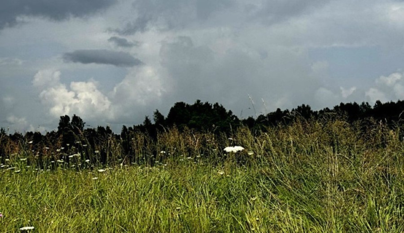 Непогода не сдается. Грозы и ливни ожидаются в Беларуси 20 июля