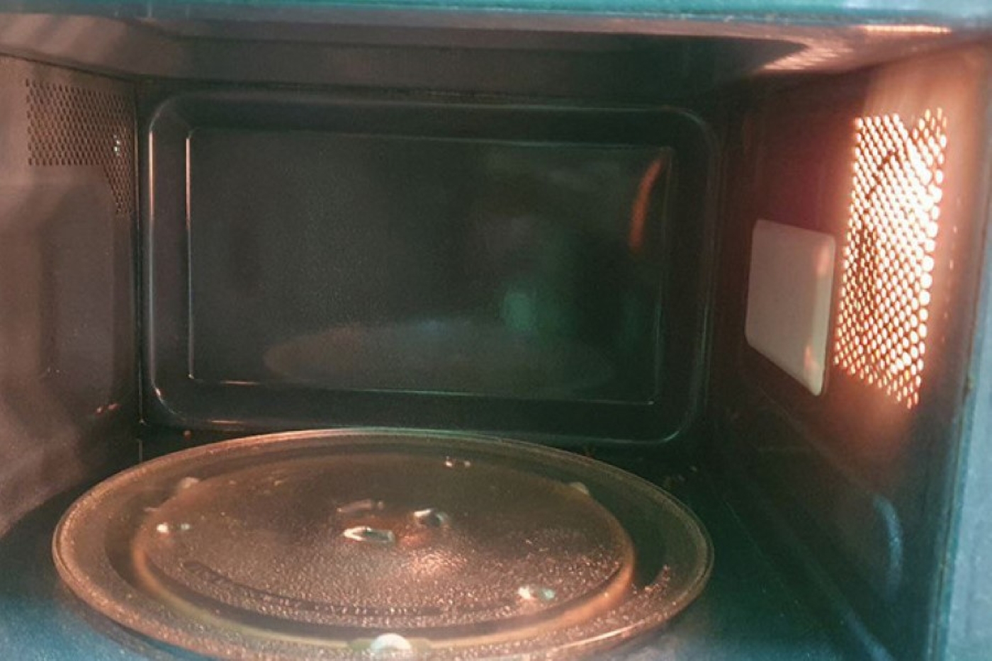 Можно ли разогревать еду в микроволновке в пластике? Ученые провели исследования