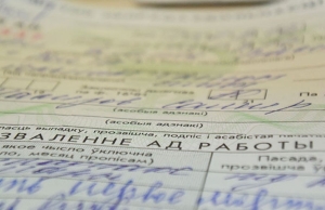 Как рассчитывается больничный для начинающих свою трудовую деятельность