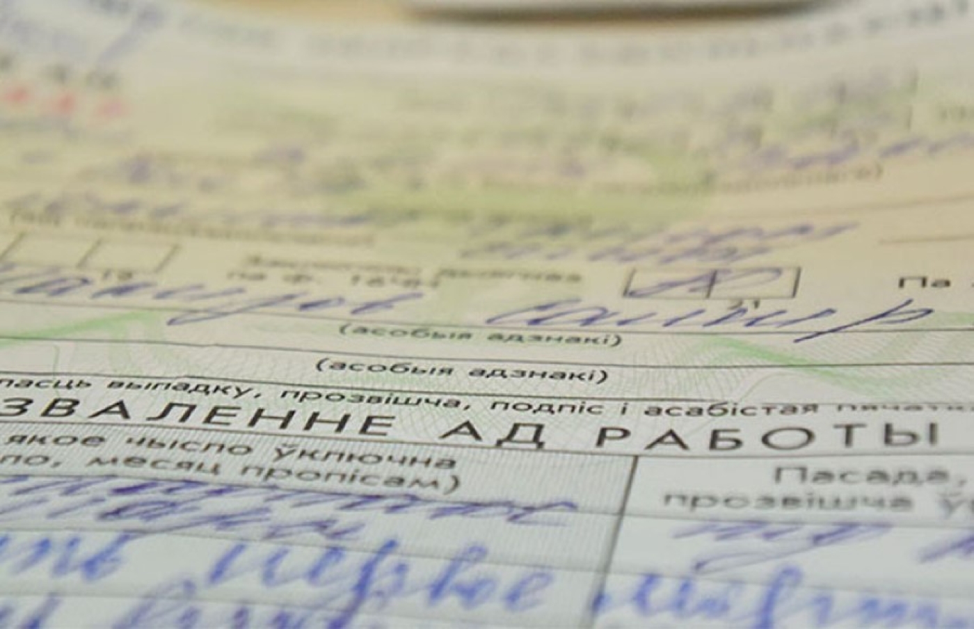 Как рассчитывается больничный для начинающих свою трудовую деятельность