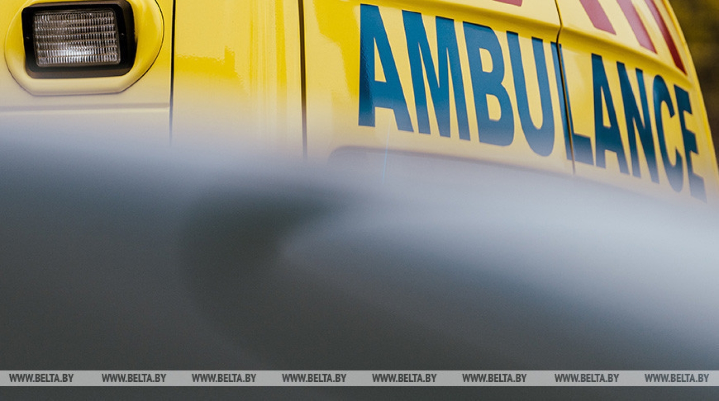 Белоруска погибла в горах Словакии после нападения медведя