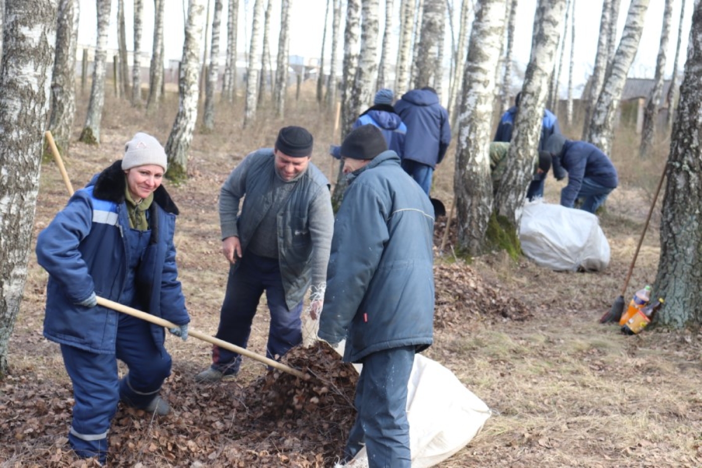 Погожие деньки березинцы посвятили уборке