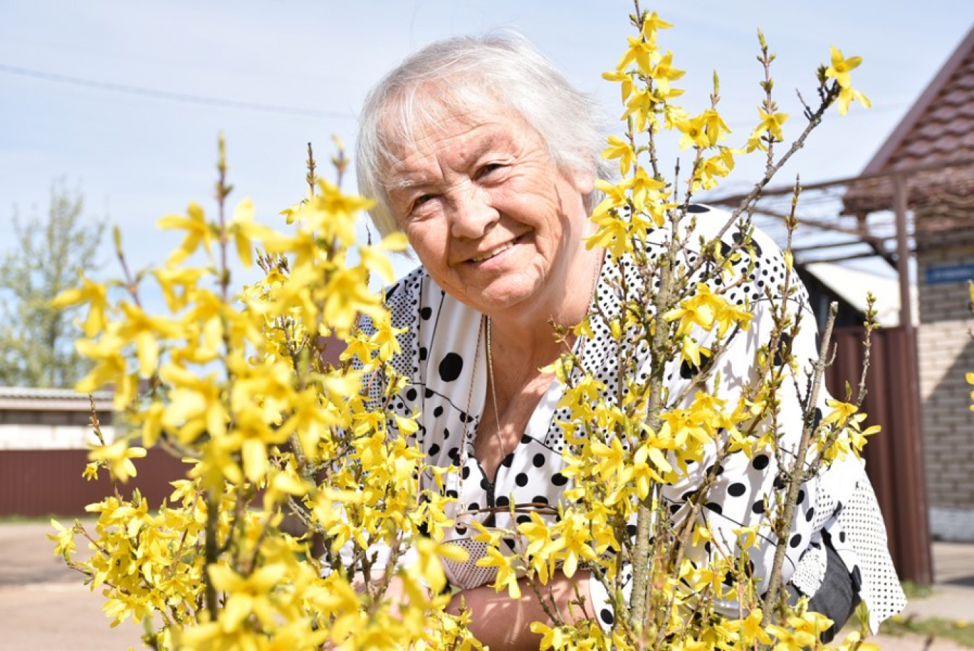 Ёсць нават лімоннае дрэва